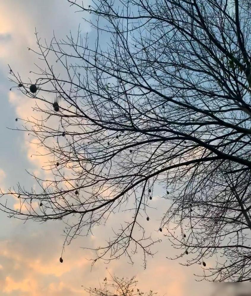 有没有发现，现在的人，生病住院都是偷偷的，生怕被人知道了。前几天听我妈说二姑