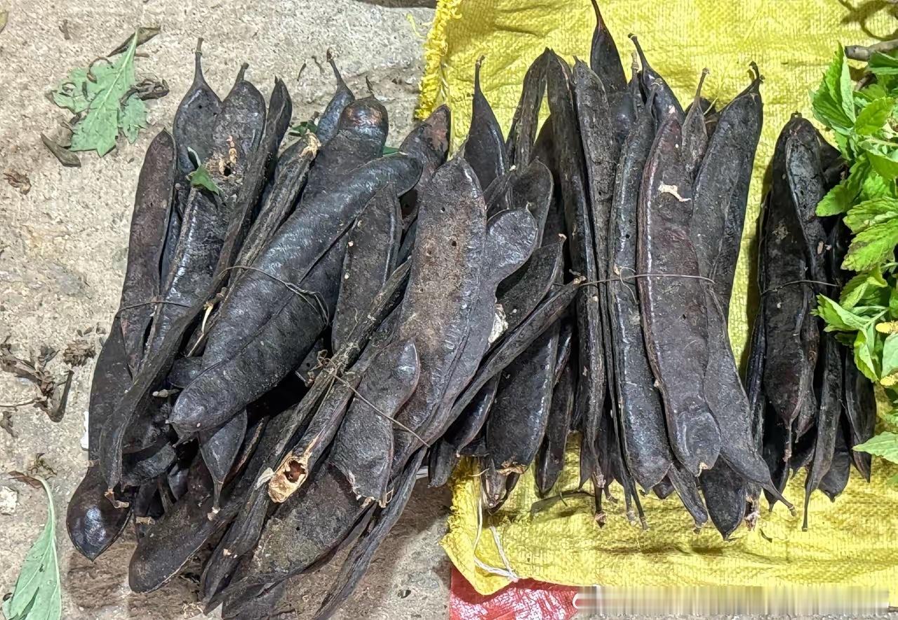 认得这个的，应该有60了吧，你们当地管它叫啥？你们知道用途吗？