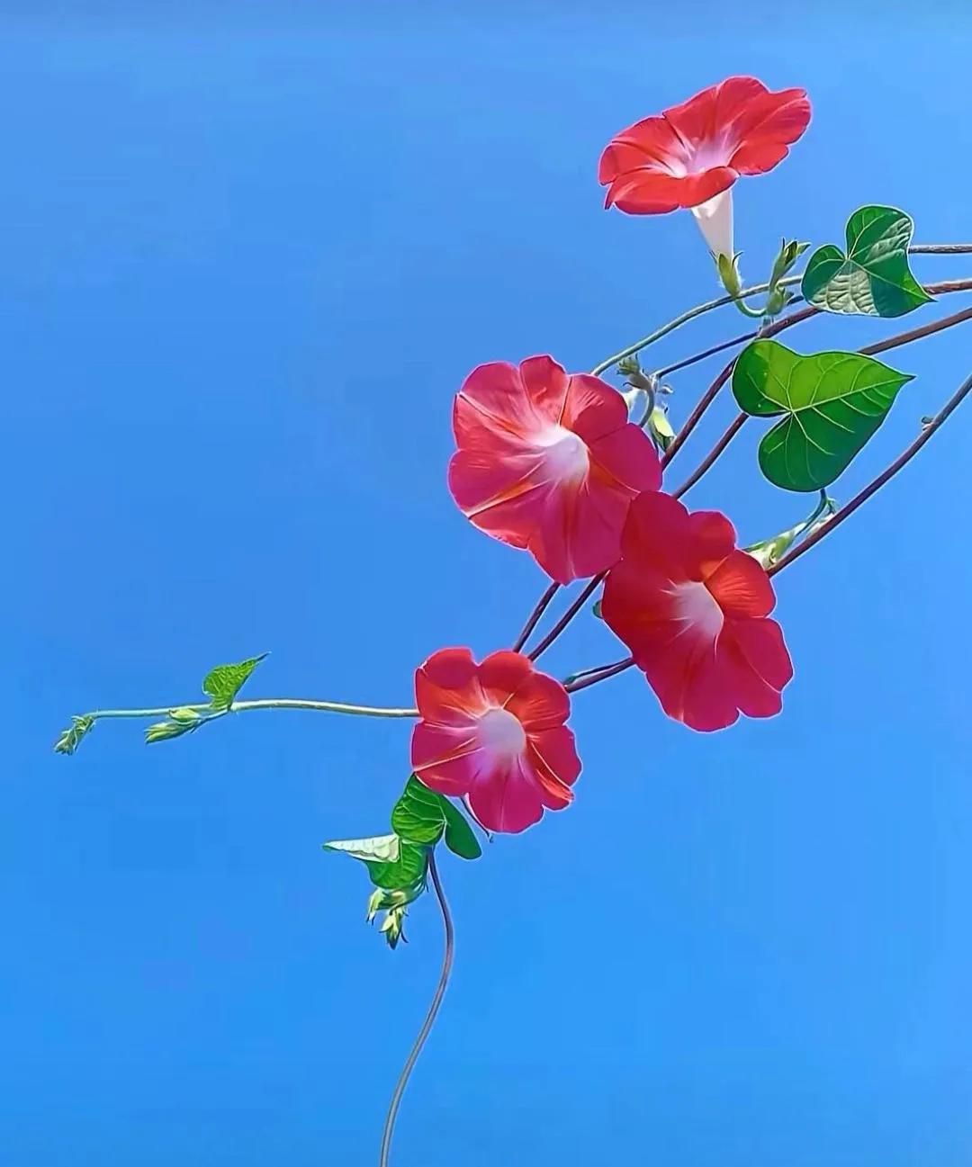 不要花大量的时间，去交朋友和积累人脉。事实和时间证明，朋友是留不住的，人