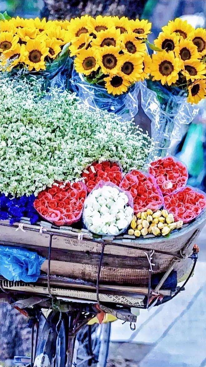 鲜花盛开，花香扑面而来，严寒的冬天快要过去了，春暖花开的季节的还会远吗！鲜花