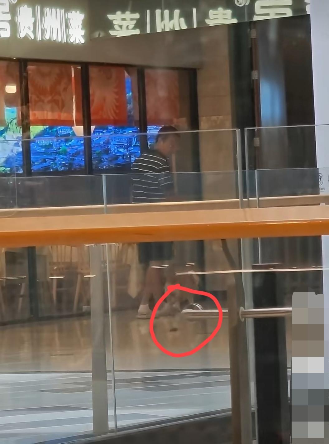 江苏南京，某商业广场内，男子遛狗，狗在过道上拉完屎后，男子就旁若无人的带着狗走开