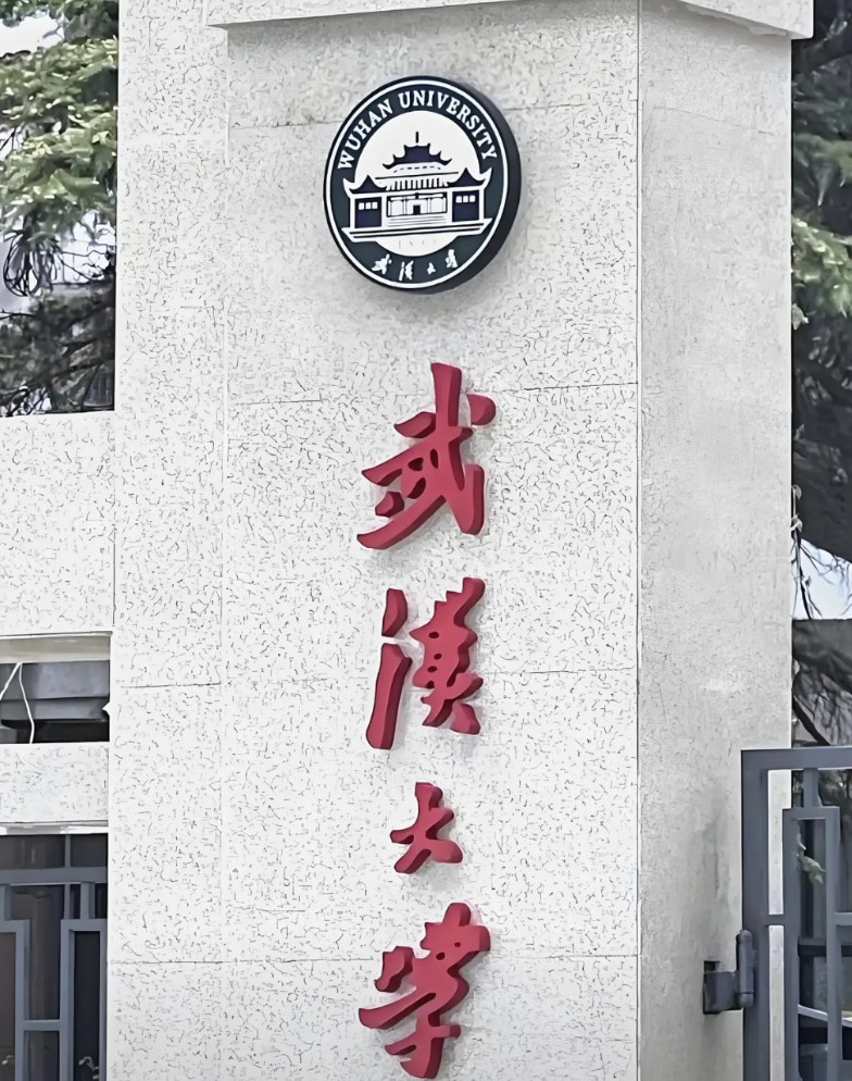 武汉大学最近几年很出圈。先是一个毕业生，依靠和副校长的裙带关系，从艺术生，一步