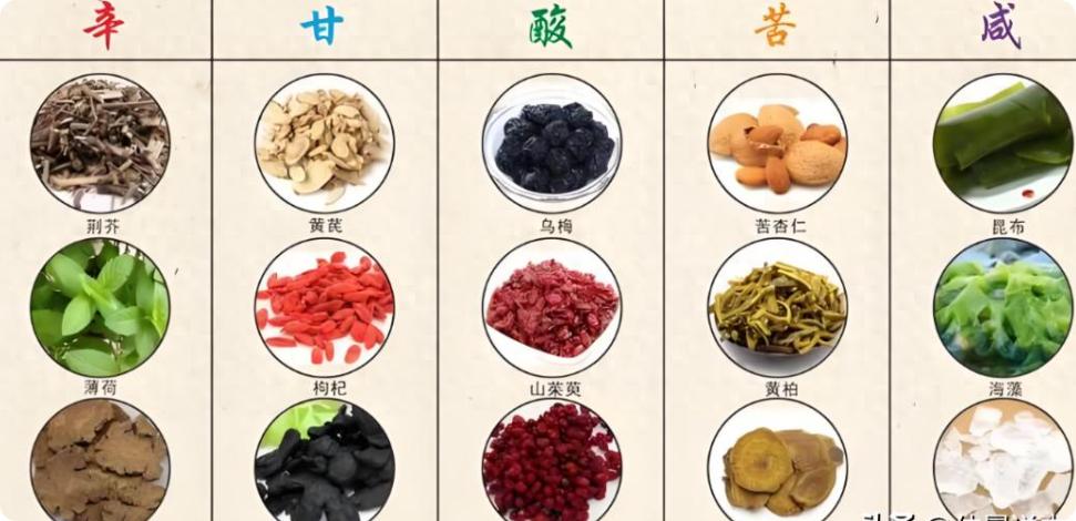 身上长结节？海里这几味药，散结比夏枯草、猫爪草更猛！大家好，我是中医陈大夫！