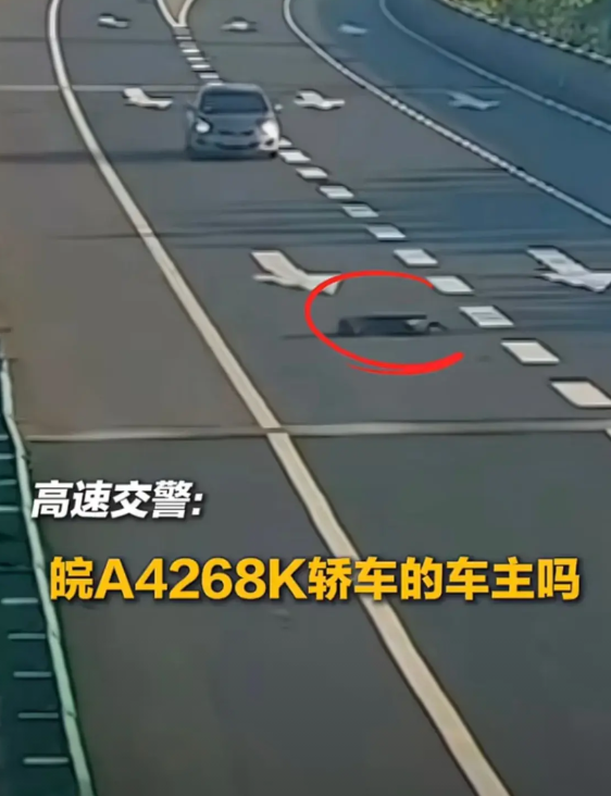 安徽马鞍山，一男子在高速路上，看到路中间有轮胎皮挡道，果断停车，把它拖到路边，及