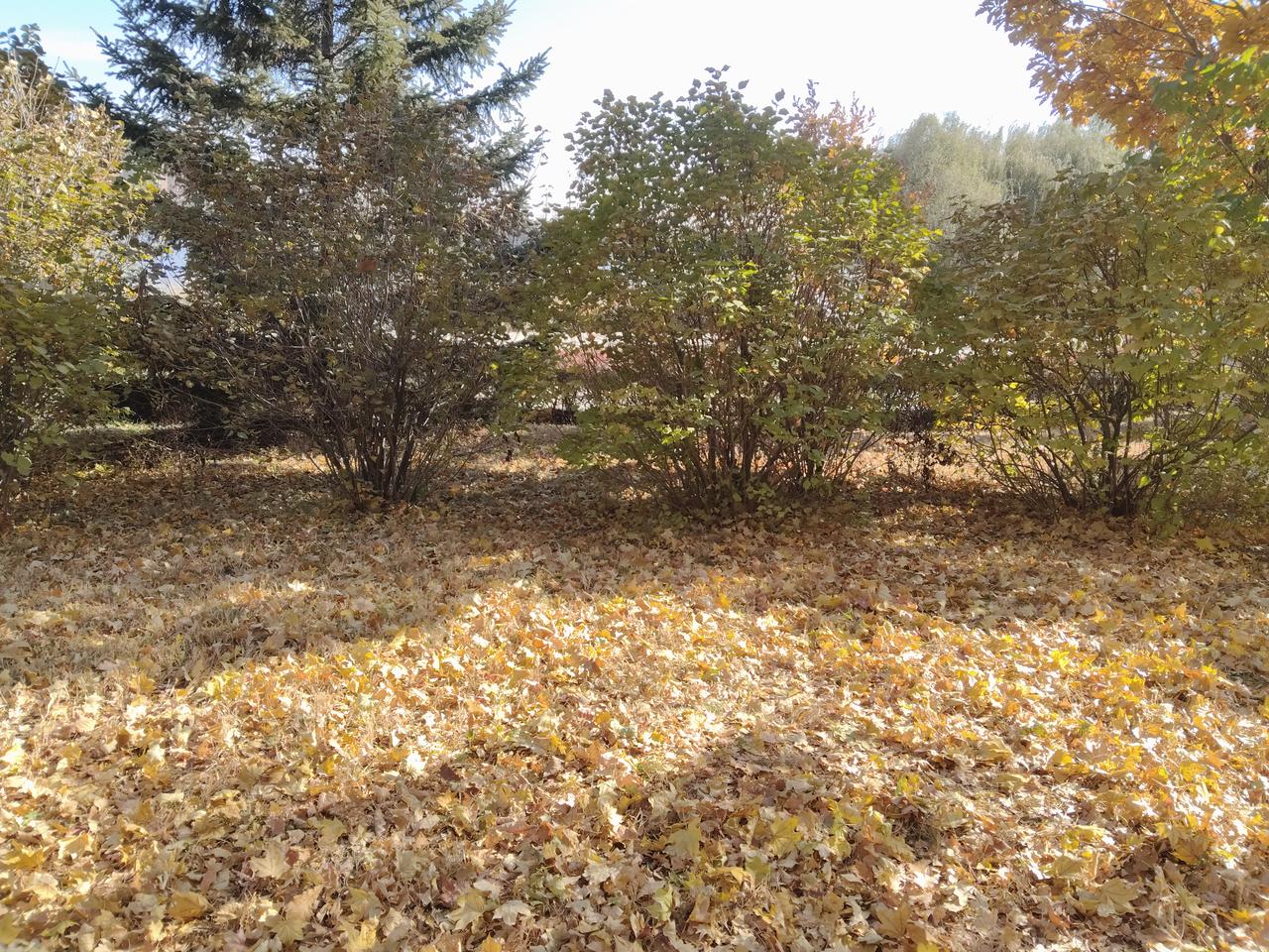 我真服了，那些大冬天的穿着短肥的羽绒服的姐妹们，怎么不觉得冷！东北的天气，