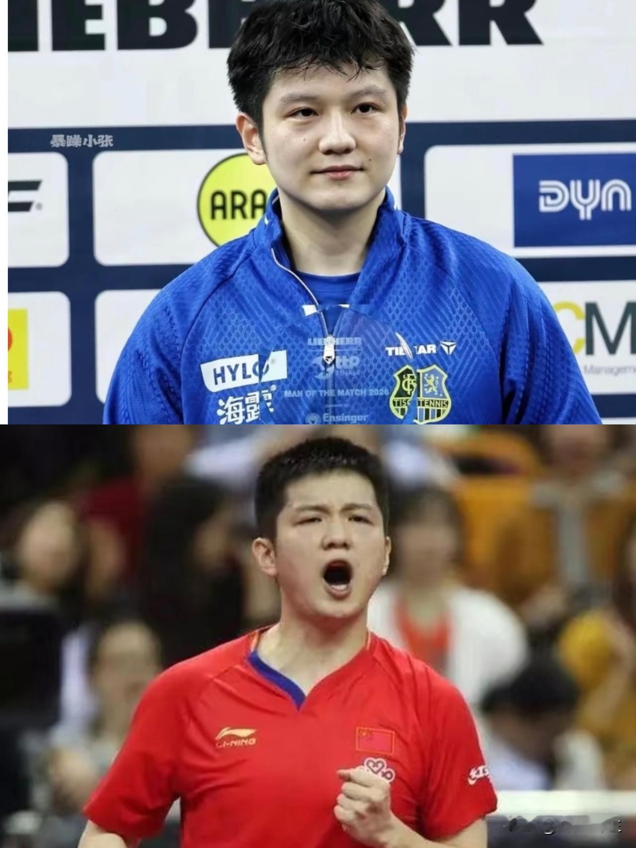 刚看完世乒赛那个选拔门槛，还有人做梦，‘樊振东能直接“空降”多哈呢？别傻