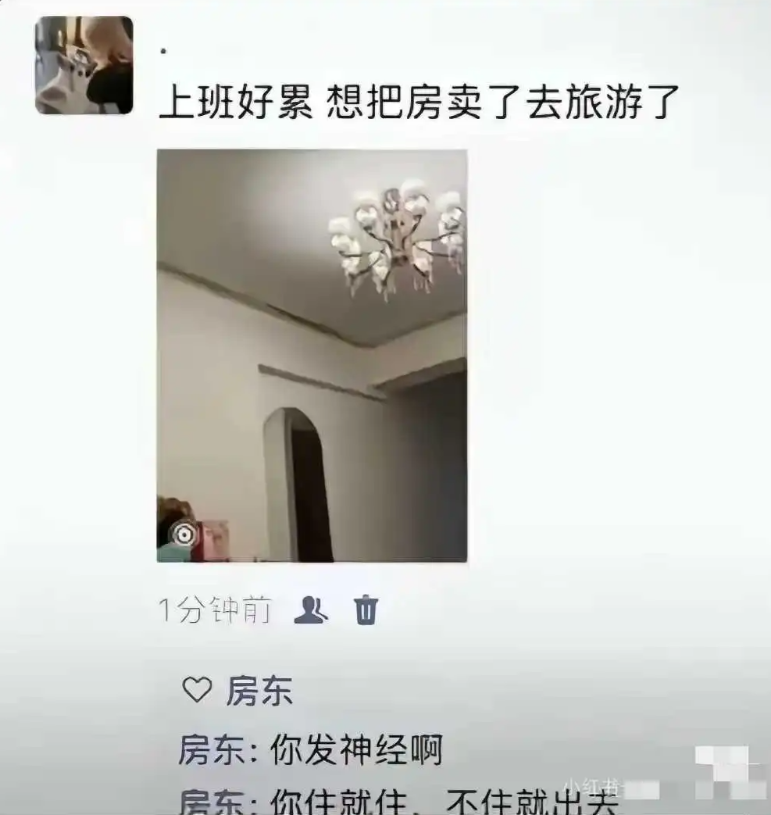 发个朋友圈，房东还骂我他咋啥都管呢