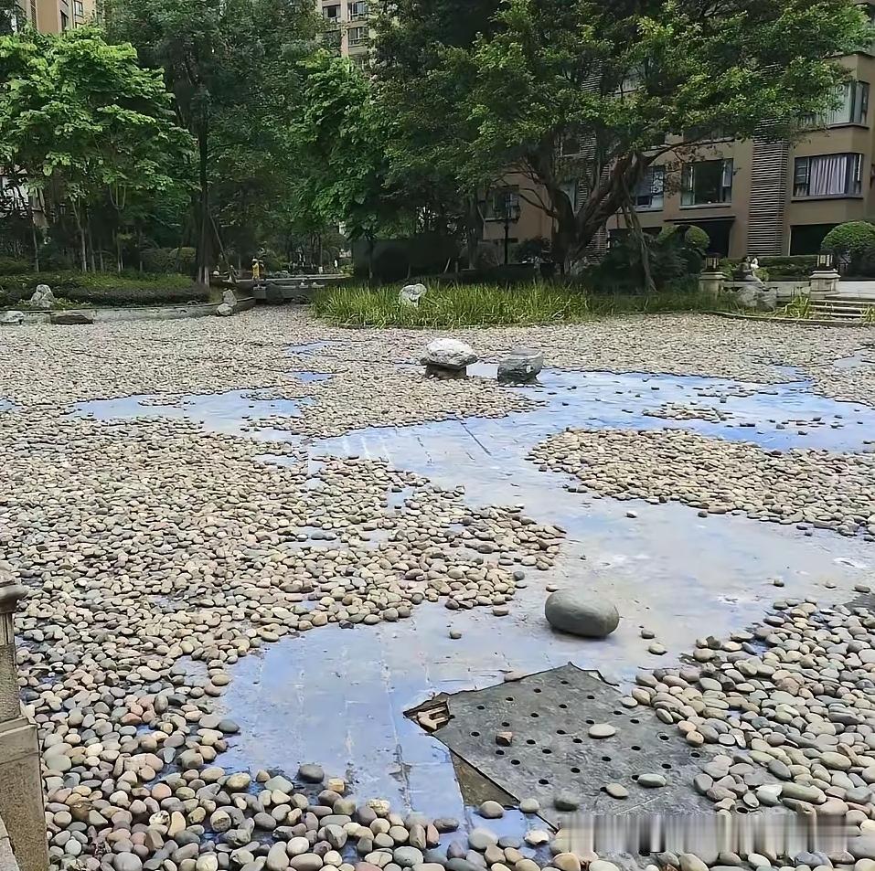 西安有个小区，业主嫌青蛙吵，睡不着觉。物业一拍大腿，想了个绝招：把池塘水抽干