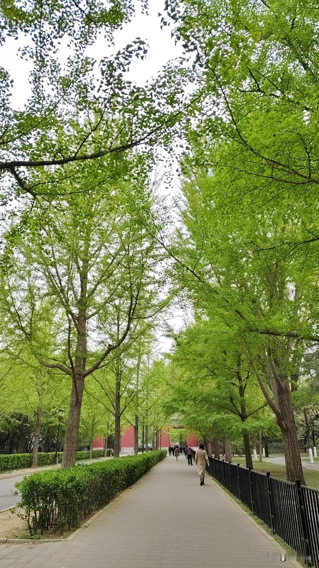 明星开店，最后都是倒闭的，32块油泼面，是给合影？