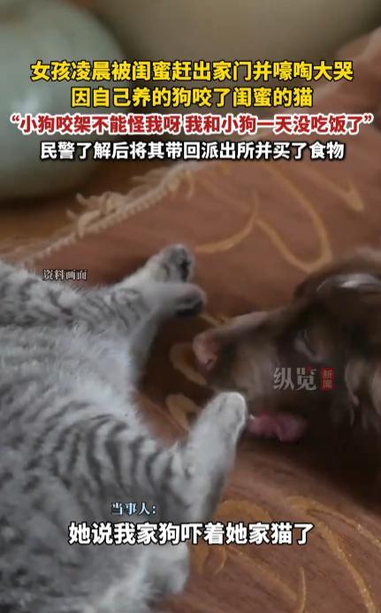 “这种闺蜜不能要了！”近日，安徽蚌埠，一女孩住在闺蜜家里，因为自己养的狗咬了闺蜜