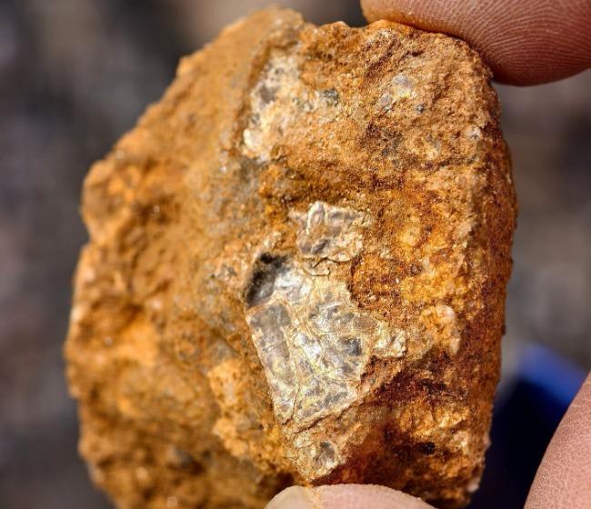 “挖野菜挖到金矿了？”辽宁庄河，男子带着8岁儿子回老家给奶奶庆生，期间上山挖野菜