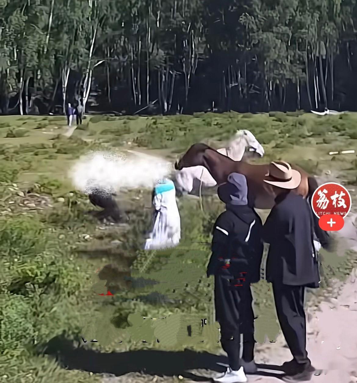 真是服了大妈了……近日，一位大妈在新疆阿勒泰旅游，路上偶遇两匹超漂亮的骏马，马