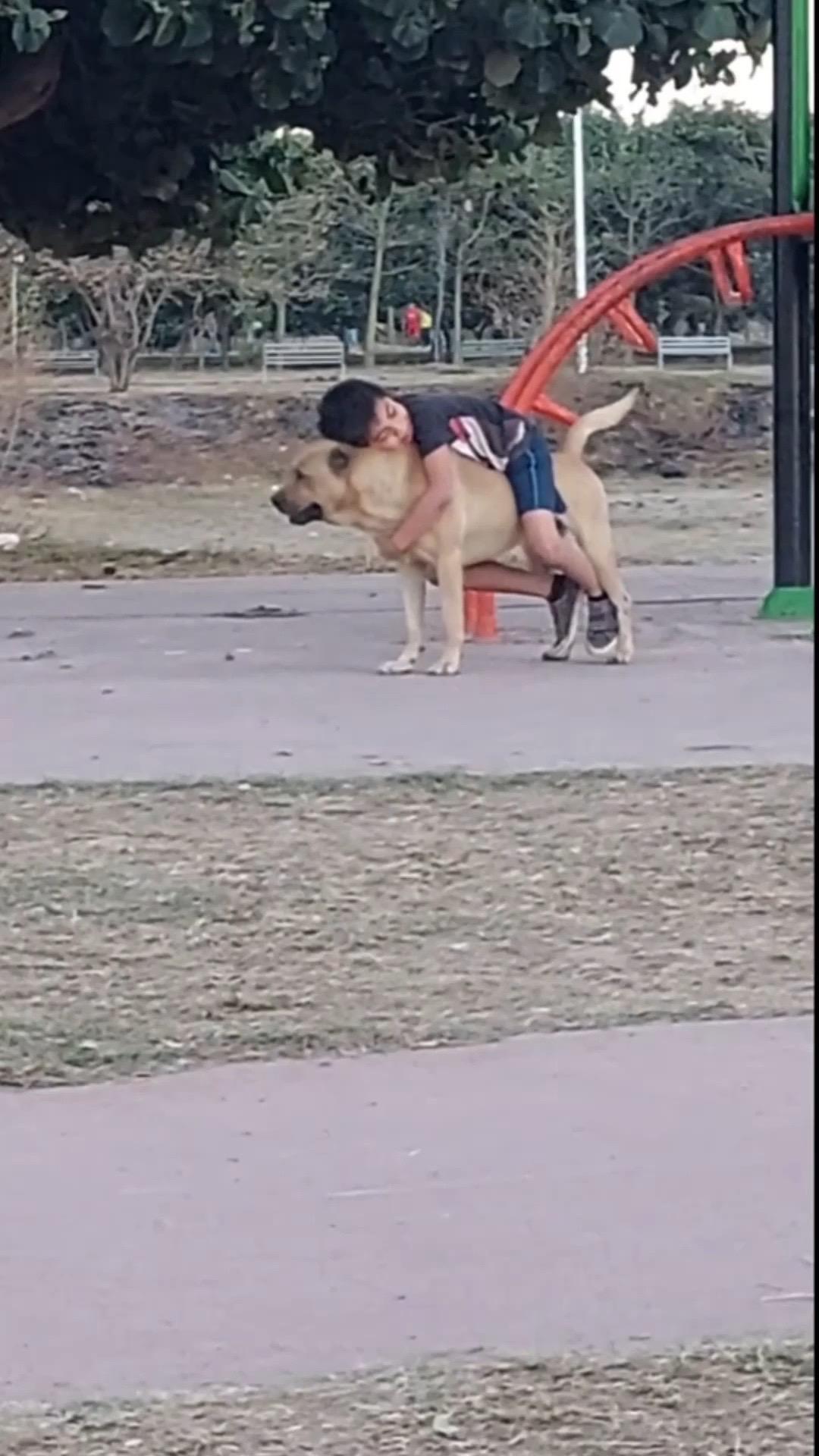 狗子的嫉妒心呀