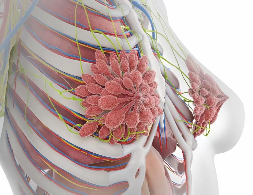 2. 马云：未来癌症像感冒一样普遍：马云说未来癌症像感冒普遍，中国科学家发研究，