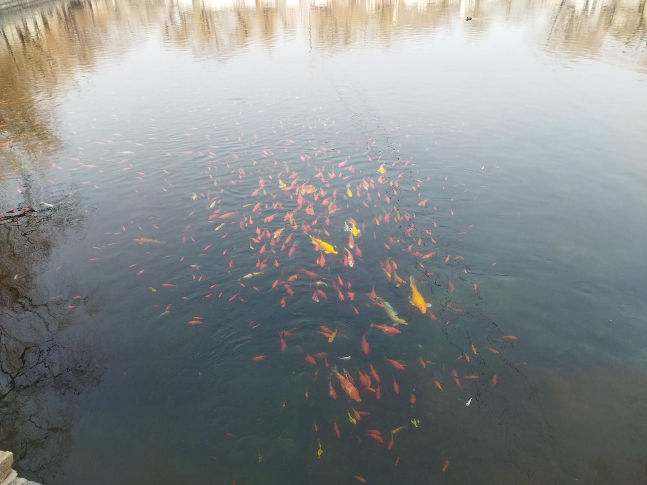 早餐买了一份煎饼果子，一大份豆腐脑，会只花了2块多钱。食材要钱，商家不会白做。