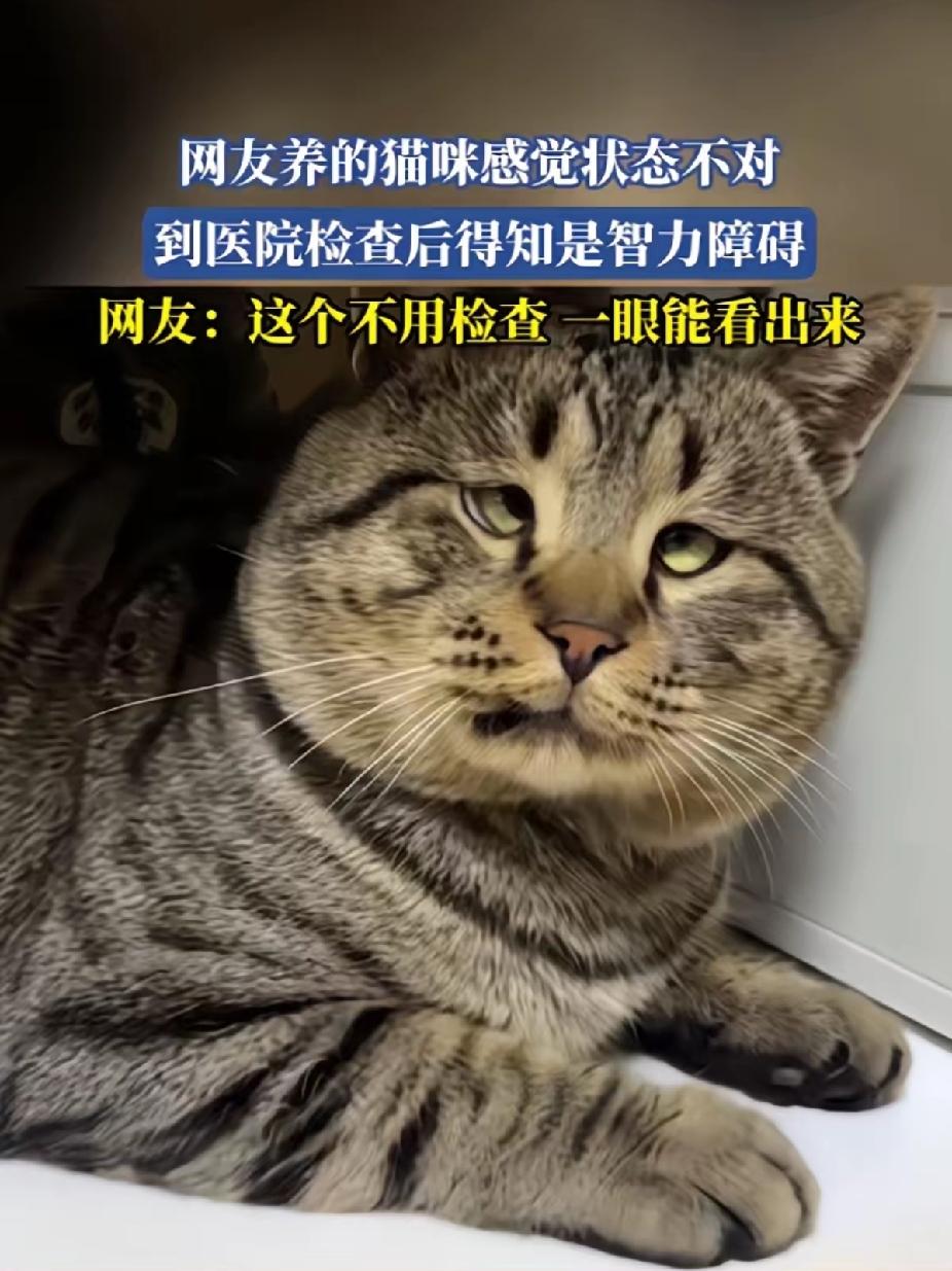 退休以后，生活不是想象中的那样子！想象中的退休生活，是心静自然凉，是坐看云起时