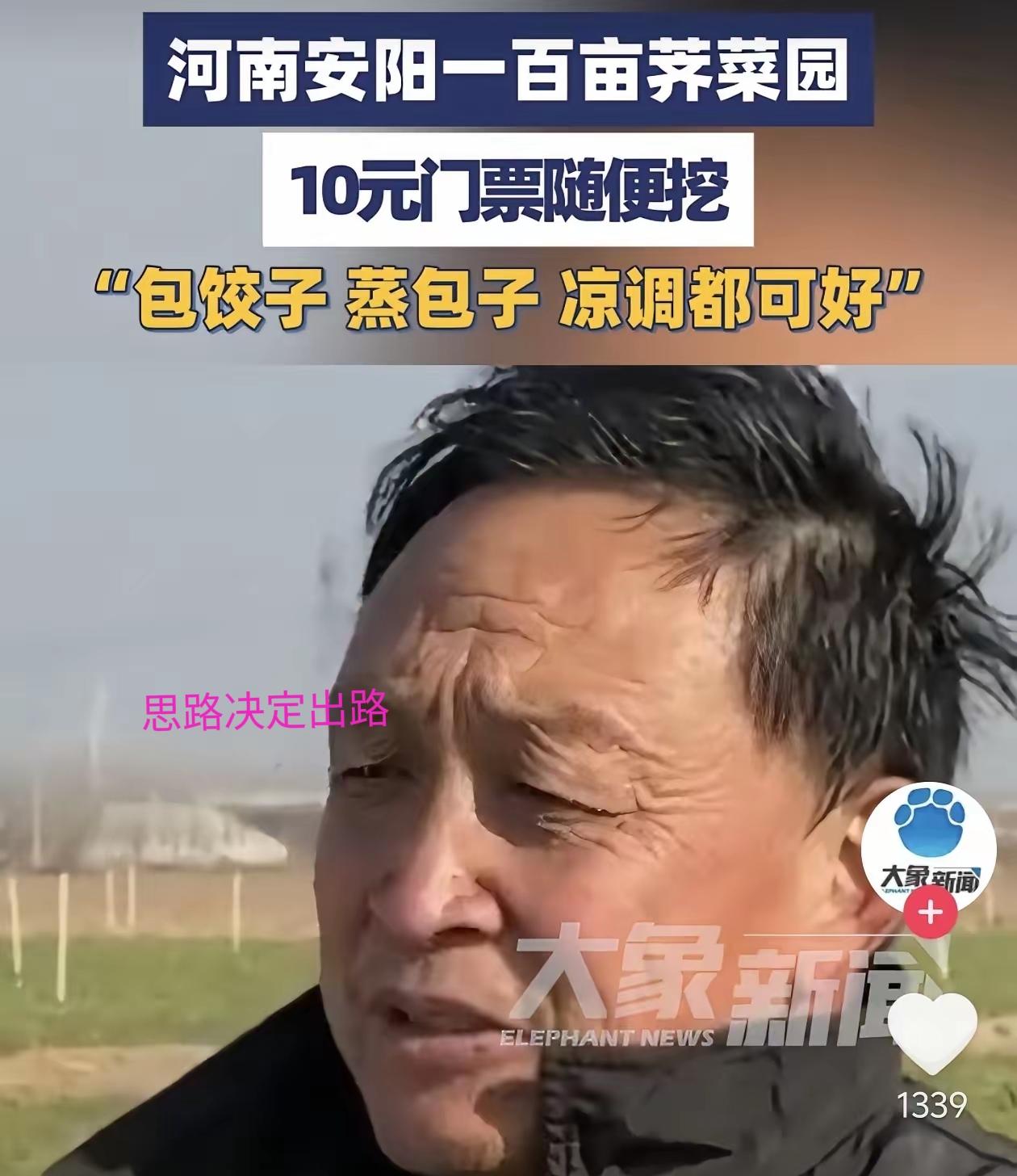 方法总比困难多！河南安阳，一男子种了100多亩荠菜，由于各种原因，销路不大好