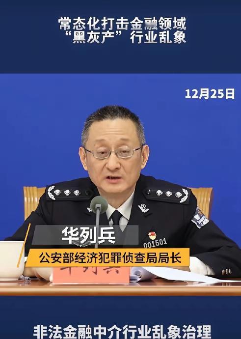 这一刀，终究是砍到了大动脉上12月25日公安部那场会，把所谓的“金融创新”底裤