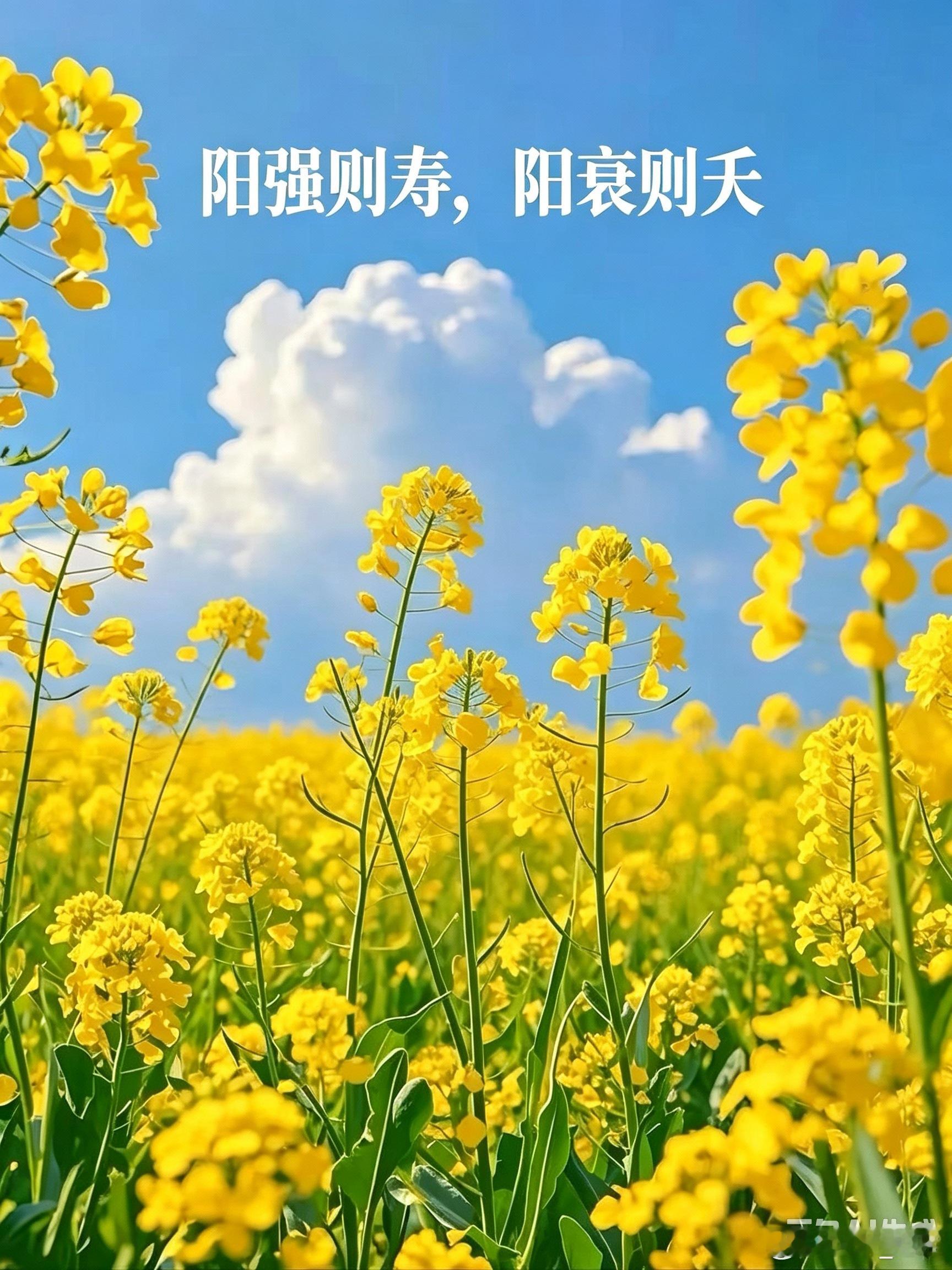 贵在阳气封藏生生不息；最怕阳气耗散无根上浮。阳强方得寿绵长此是元阳秘藏章莫把亢火