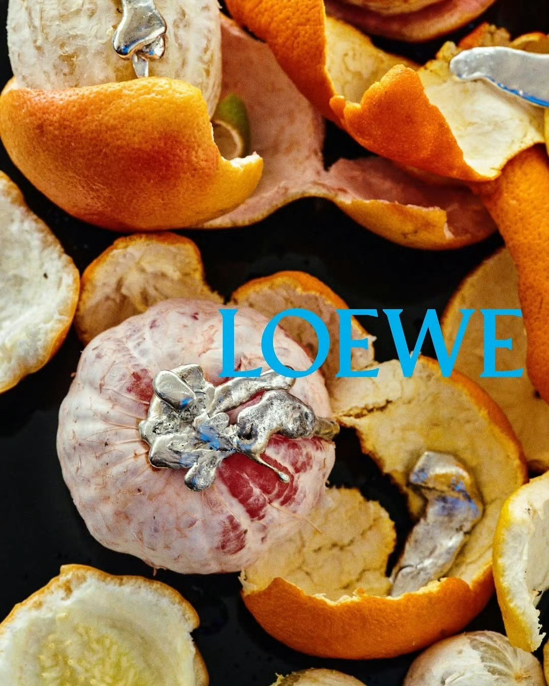 LOEWEFallWinter2026Campaign摄影：Talia