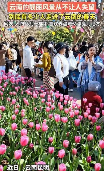 这些人是在外省打工的云南人回来过年了，还是外省来云南旅游的？看这人来人往的人潮