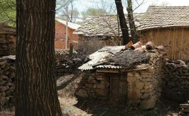 1980年，河南男子指着鸡窝上一块臭烘烘的破砖问：“这块砖10块钱卖吗？”老农被