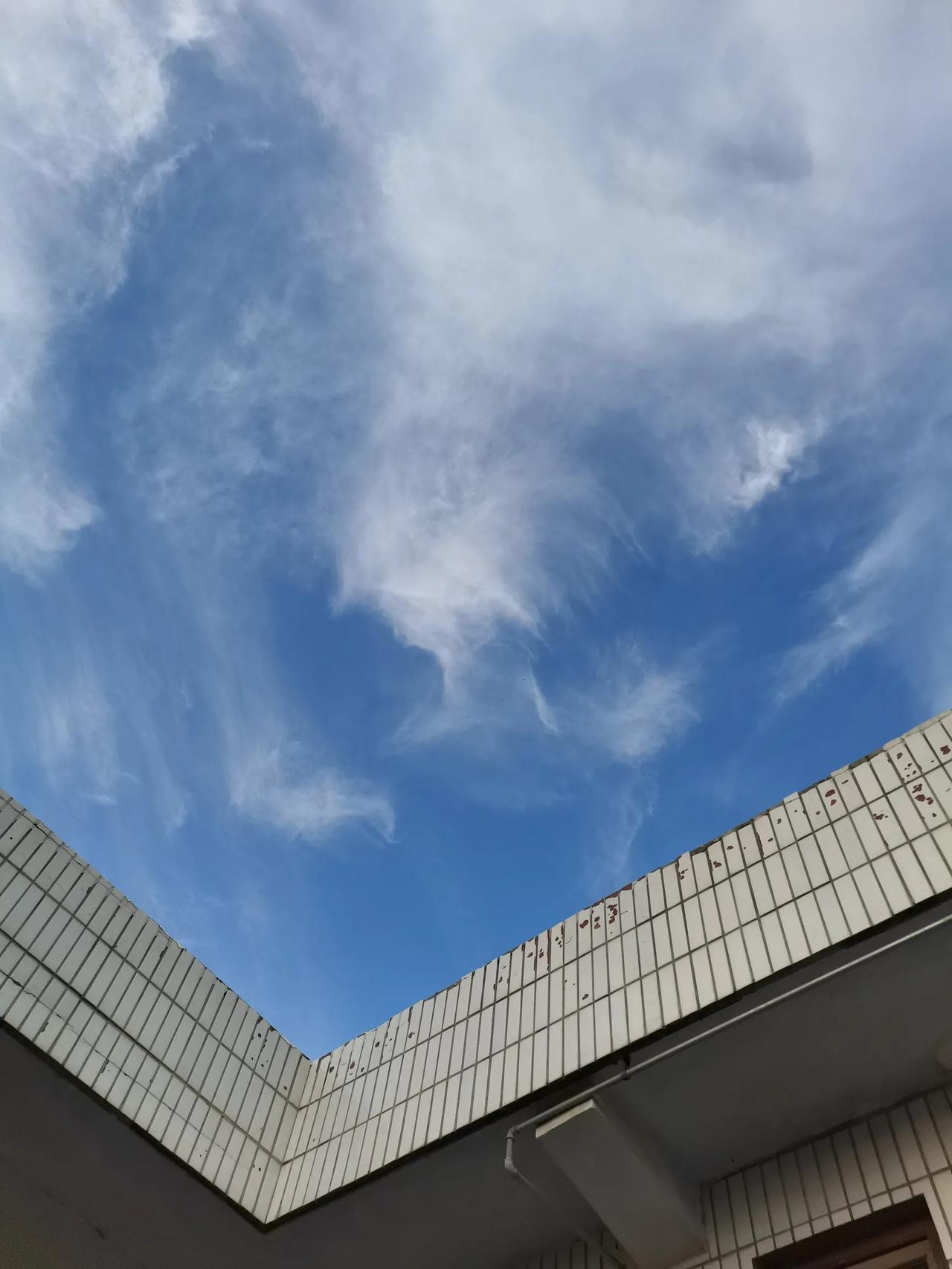 退休第一个月大事记：4月1日起开始在家过退休日子，到今天是5月1号了。在4月这