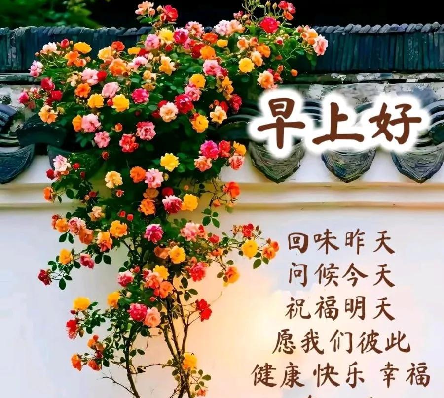 [玫瑰]早上好[玫瑰]回味昨天，问候今天。祝福明天，愿我们彼此，健康