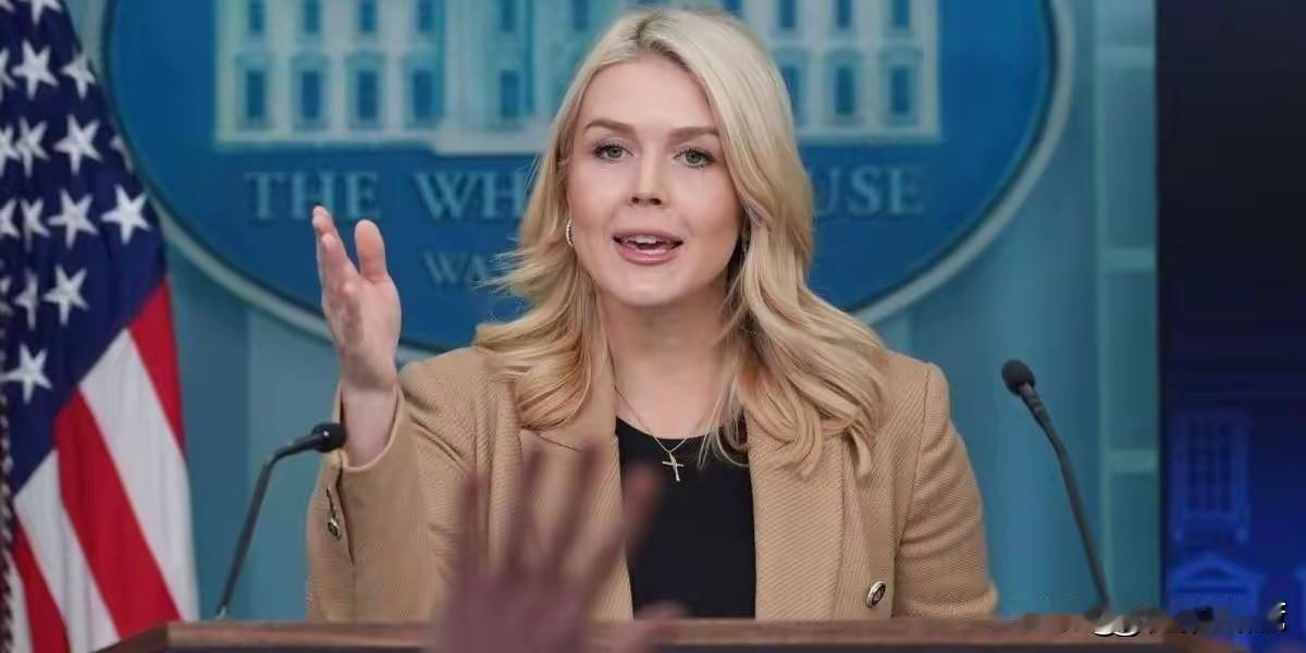 今天凌晨，白宫发言人卡罗琳确认：“‘和平委员会’已经正式成立，我们向全球约60个