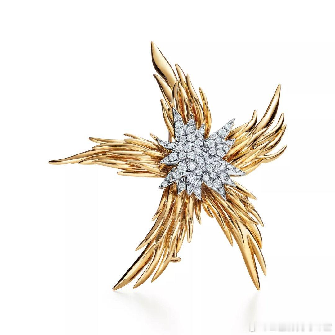 珠宝摩纳哥亲王妃查伦妮的ParisFlames“巴黎火焰”胸针，出自珠宝商T