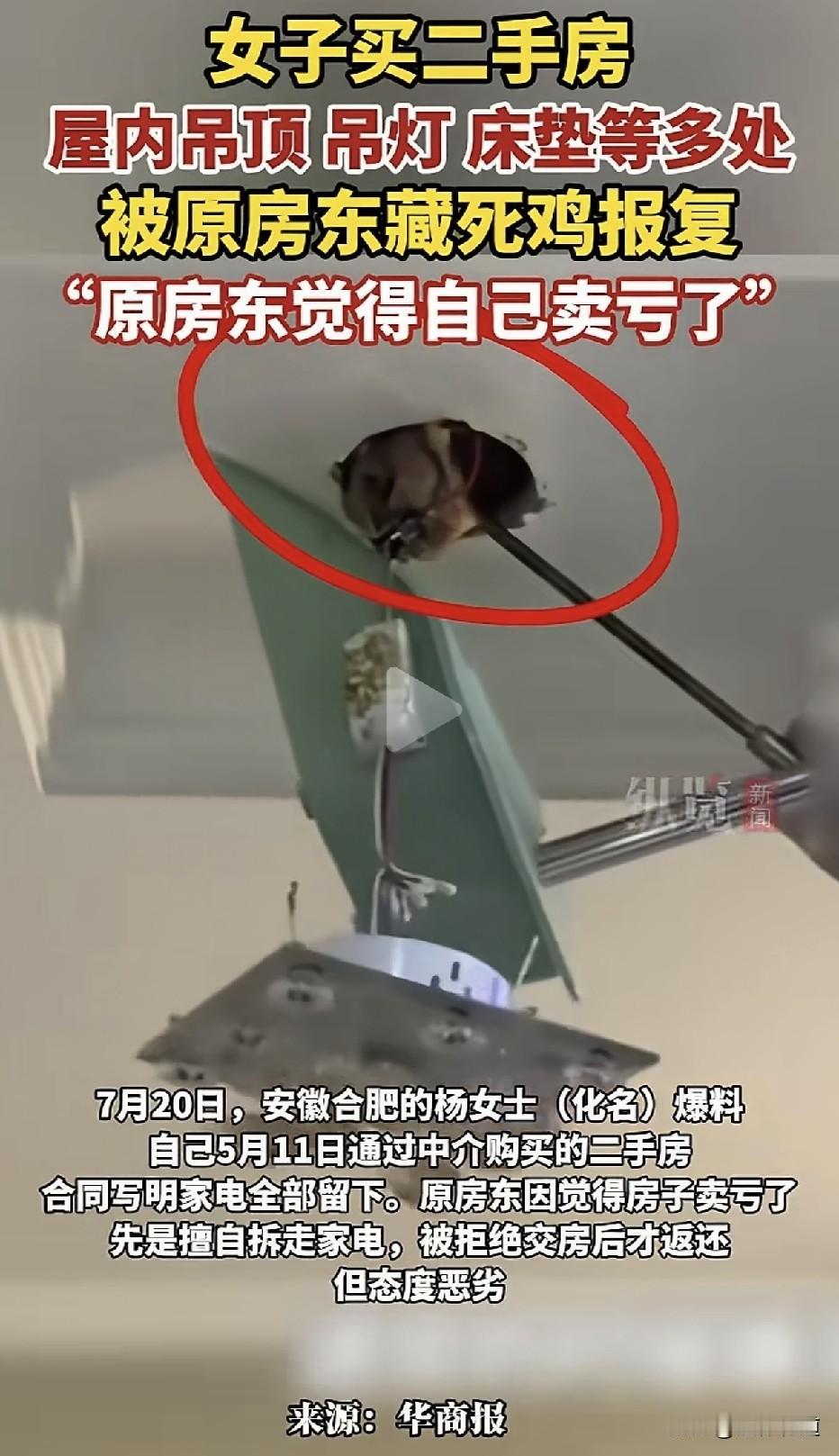 卖亏了就报复！女子中介买了套二手房，拿到钥匙进门一股恶臭，发现吊顶床垫下塞满死鸡