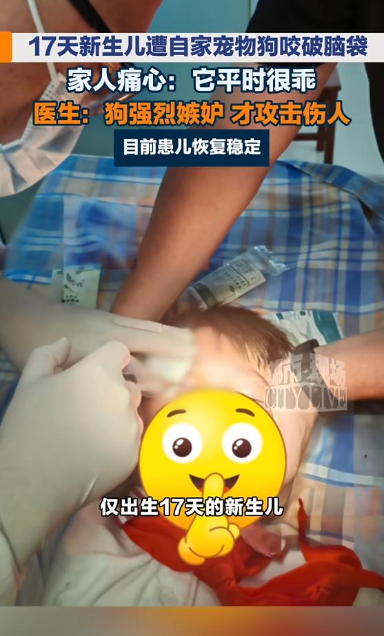 “悲剧还是发生了！”7月13日报道，浙江，一对年轻夫妇家里养了只狗，好多年了，平