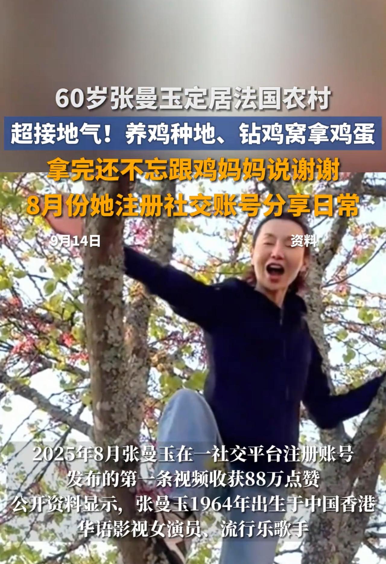 真没想到，香港大明星张曼玉辛苦努力了一辈子，到60岁才拥有的生活方式，我刚出生就