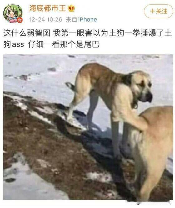 我也是反复确认了三遍
