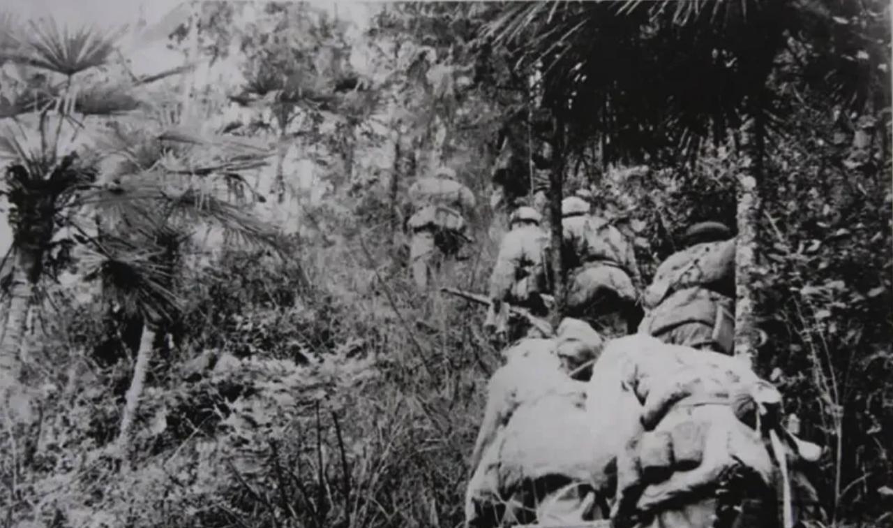1949年，易鹏飞正在山林中侦察，忽见远处火光冲天，隐约传来哭叫声，他心中一紧：