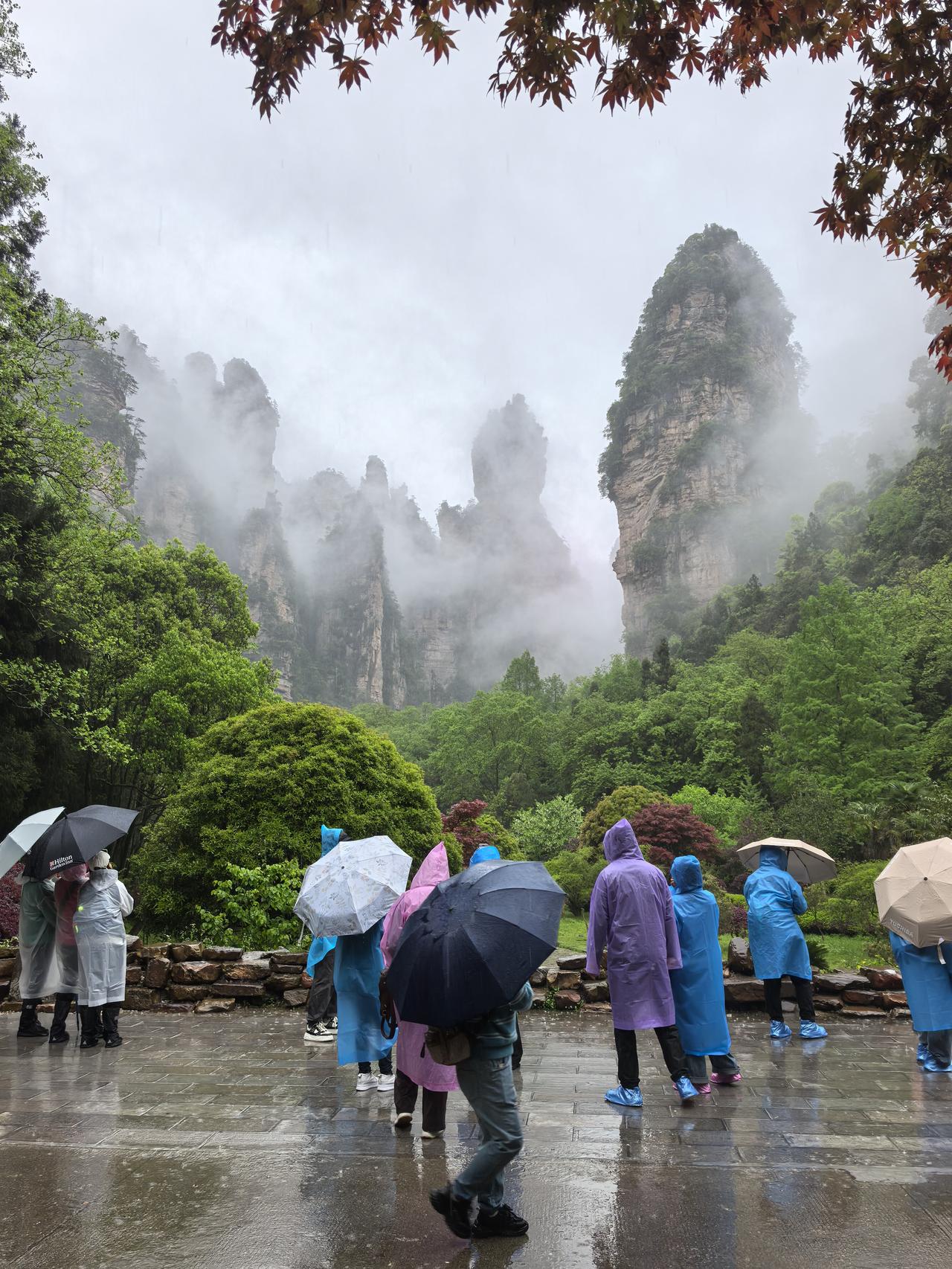 来张家界旅游，选对天气太重要了我们结束恩施的行程后，19号自驾抵