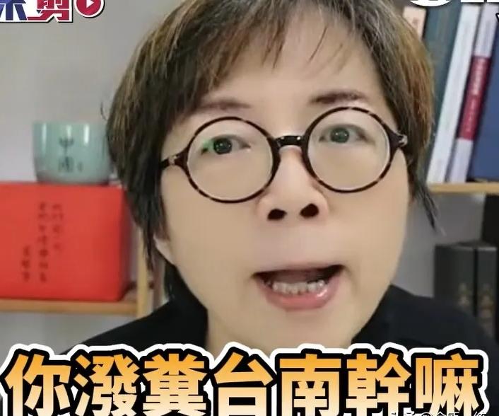 媒体人黄智贤:不该往台南泼粪让台南背锅22日上午，岛内媒体人赵少康到台中探视