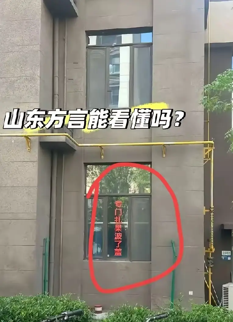 谁懂？这家干啥的？专门干啥滴