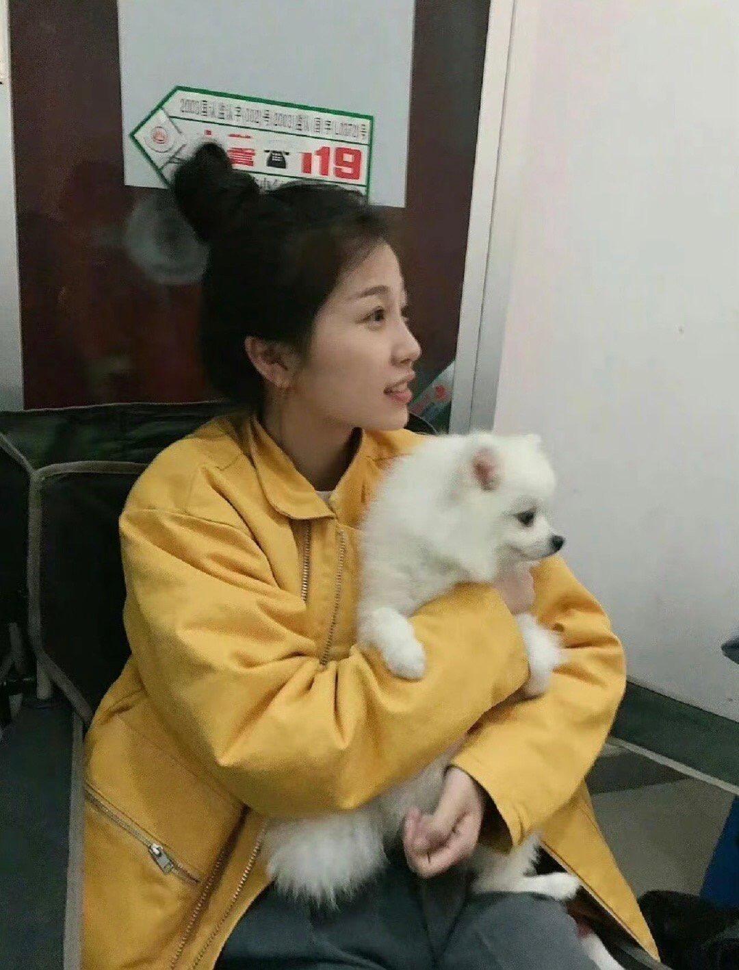 虞书欣和狗狗毛孩子们​​​