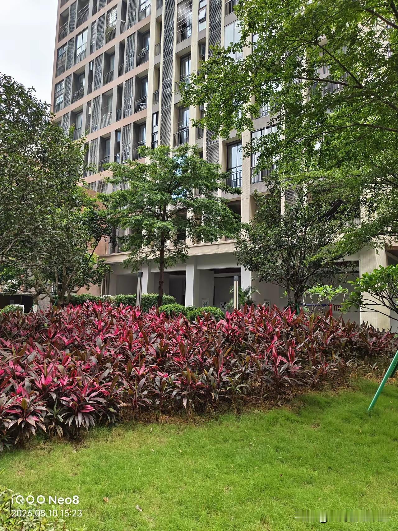 在广州漂了五年，每次跟爸妈视频，他们总问“啥时候能在那边有个窝”。这话听着轻，砸
