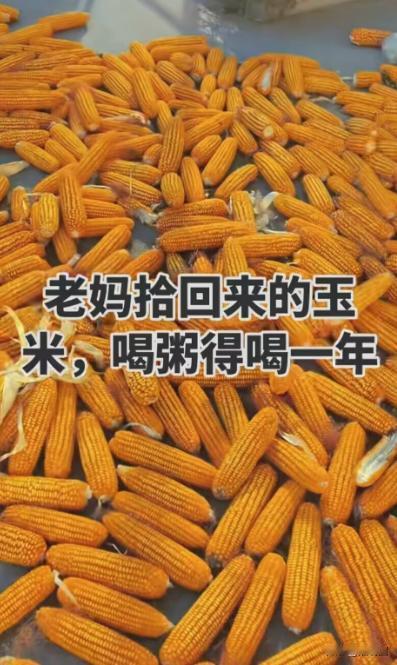 伤害性不高侮辱性极强！河北，一女子在网上炫耀，家里不用种地，每年老妈在外面拾回来