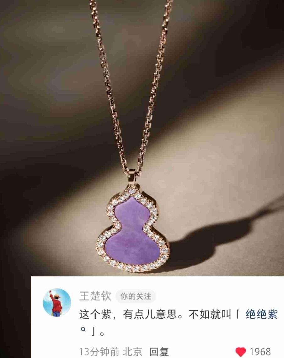 咱们王队不言则已，一言真是惊人，〔绝绝紫〕这个名字真好听。王队又上网冲浪