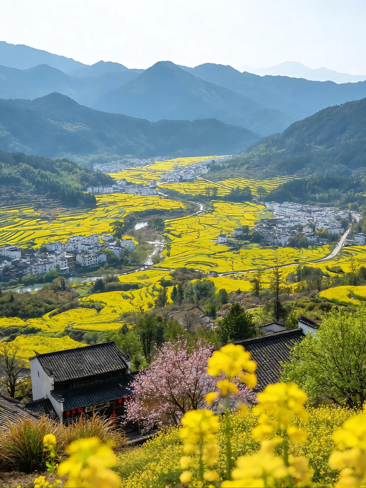 遇到一位南京高二学生的家长，希望我给他找一位优秀的数学老师。我告诉他，老师我们这