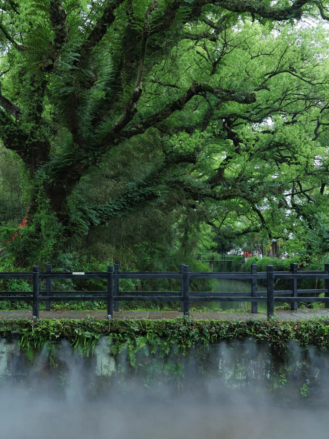 别再挤古镇了！古堰画乡才是江南天花板✨