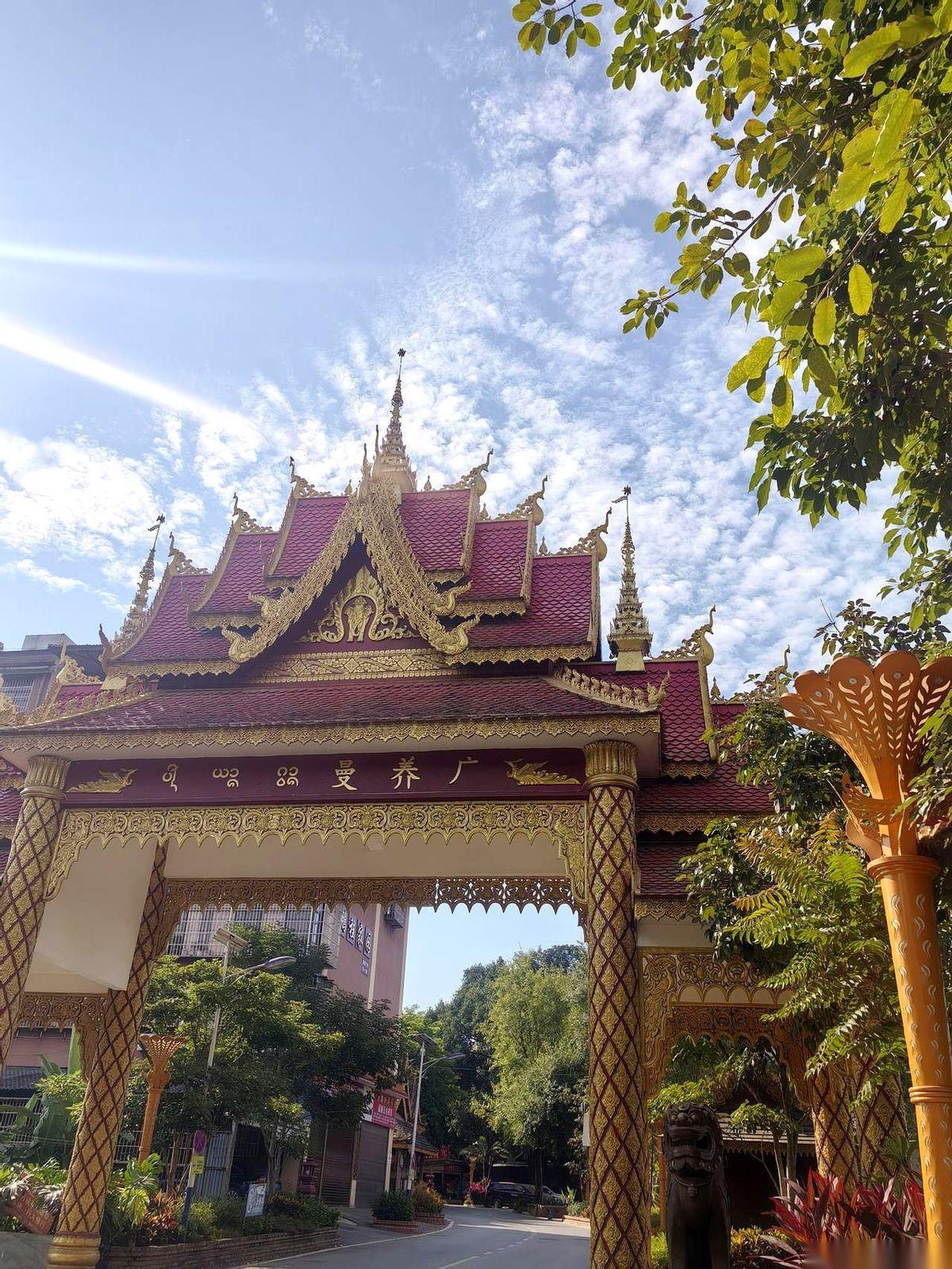 三个西红柿，九块钱。我以为我听错了，在版纳。老板指着那几个红得发亮的“小家伙