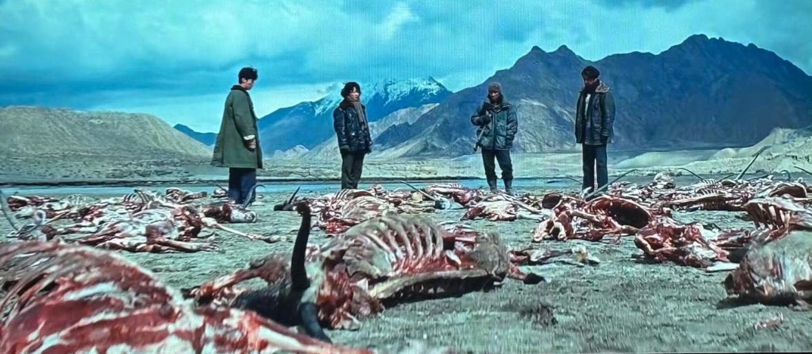 尽管，我已经是个懂得克制的成年人了‼️但是看到《生命树》这些触目惊心的画面，还