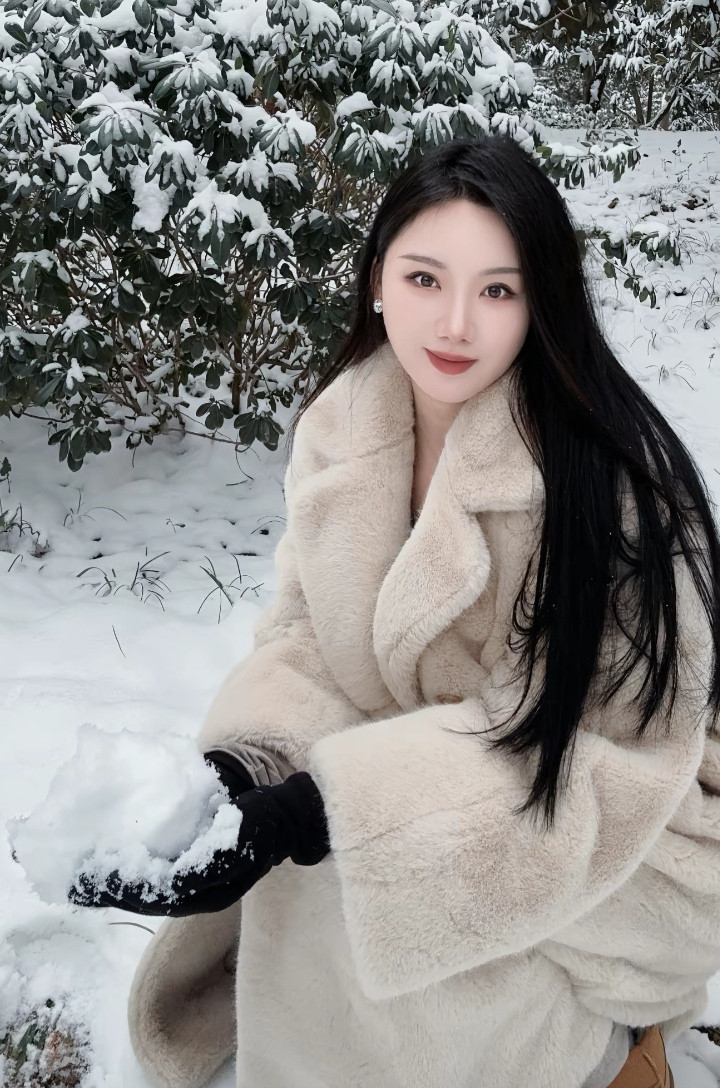 年年落雪，雪落年年，年年人不同