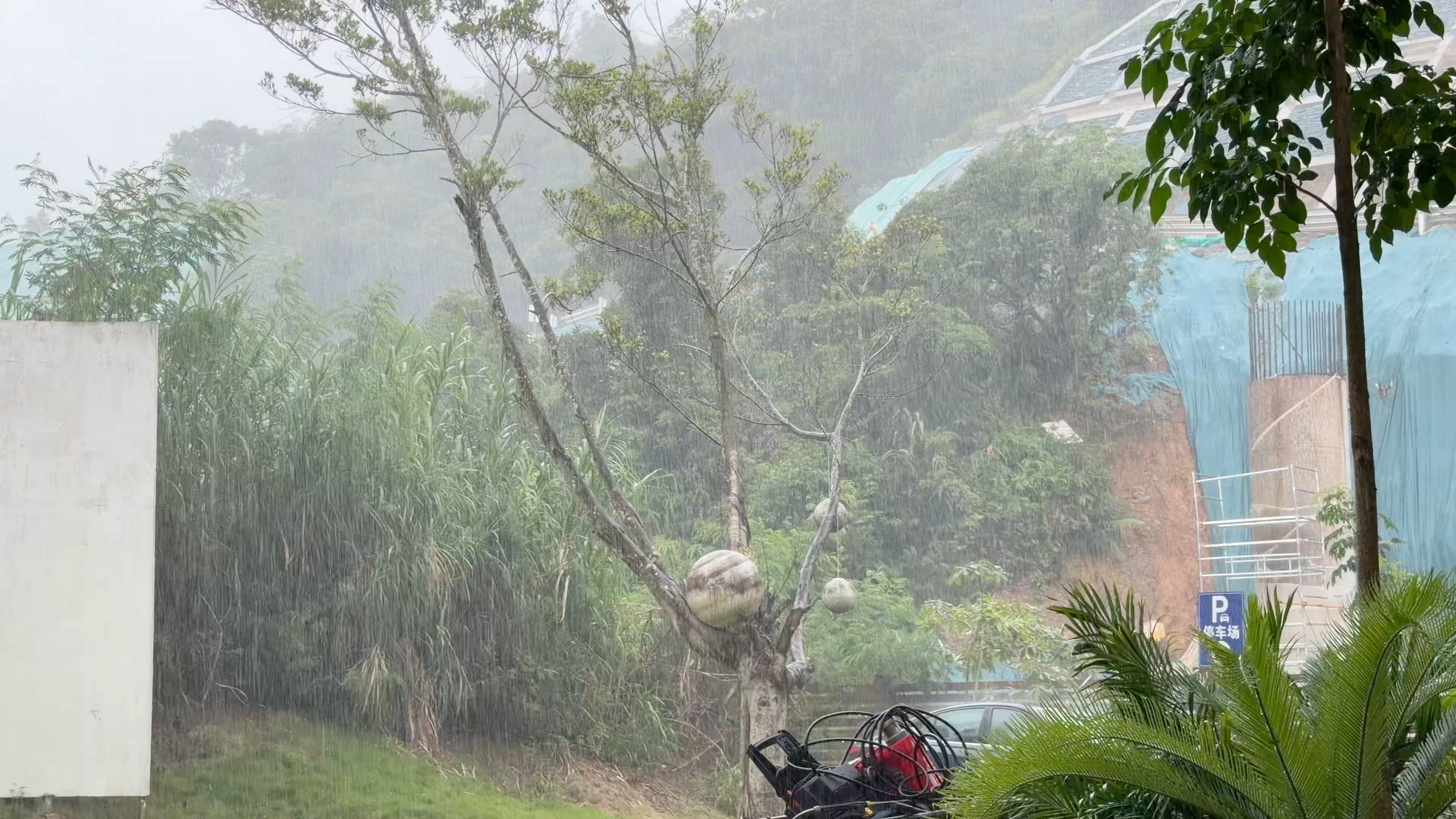 台风红霞狂风暴雨大闪电，此时此刻我慌得一批客人没有走的意愿，我该怎办？深圳·很