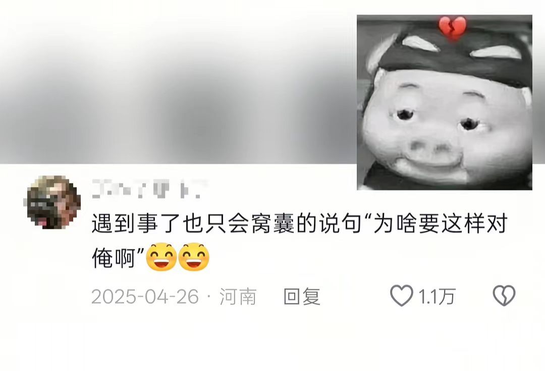 中式命运你赢了，谁懂老实人的痛