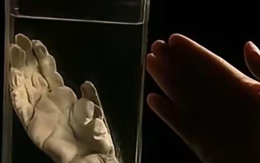 1957年，浙江发现疑似“野人”的生物，攻击小女孩。村民发现后将其打死，并吃掉，